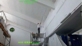 地下室防霉涂料 求前輩解答